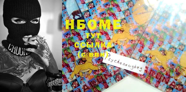 гашик Новозыбков