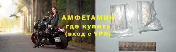 гашик Новозыбков