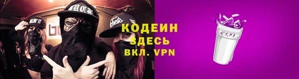 гашик Новозыбков