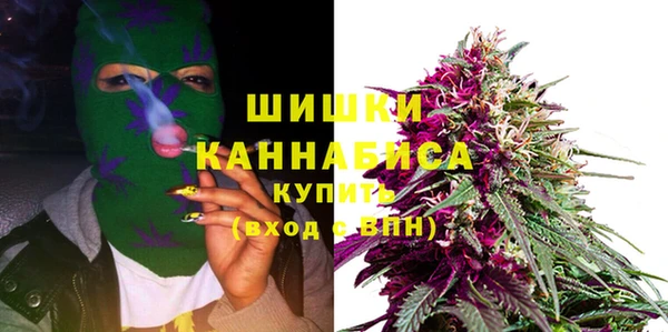гашик Новозыбков