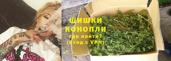 гашик Новозыбков