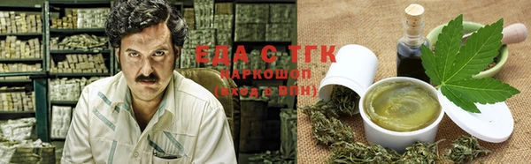 гашик Новозыбков