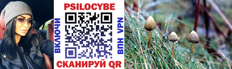Галлюциногенные грибы Magic Shrooms  Орёл 