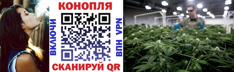 Марихуана гибрид  Орёл 